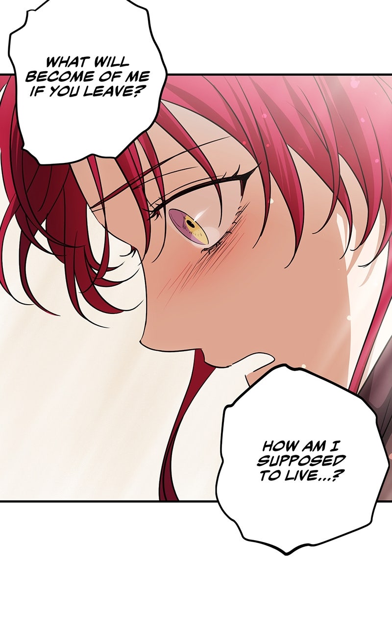 Read The Spark in Your Eyes Manga Online