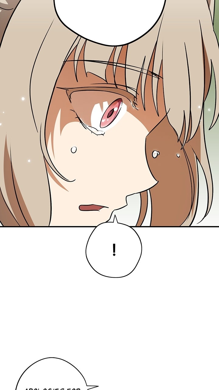 Read The Spark in Your Eyes Manga Online