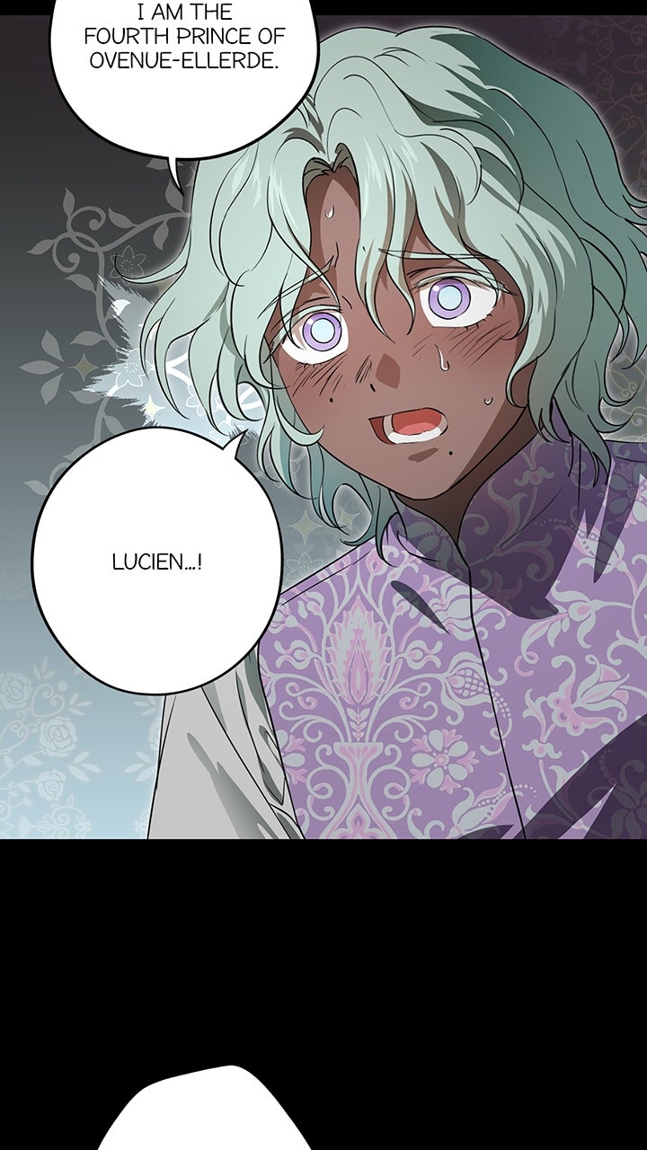 Read The Spark in Your Eyes Manga Online