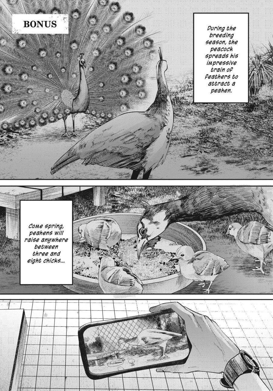 Read The Summer Hikaru Died Manga Online