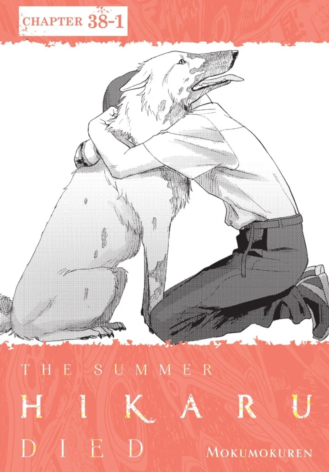 Read The Summer Hikaru Died Manga Online