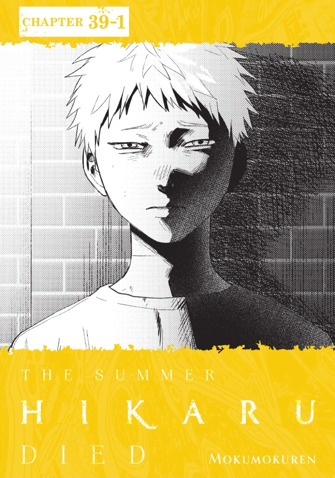 Read The Summer Hikaru Died Manga Online