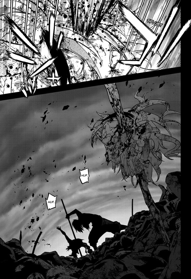 Read Twin Star Exorcists Manga Online