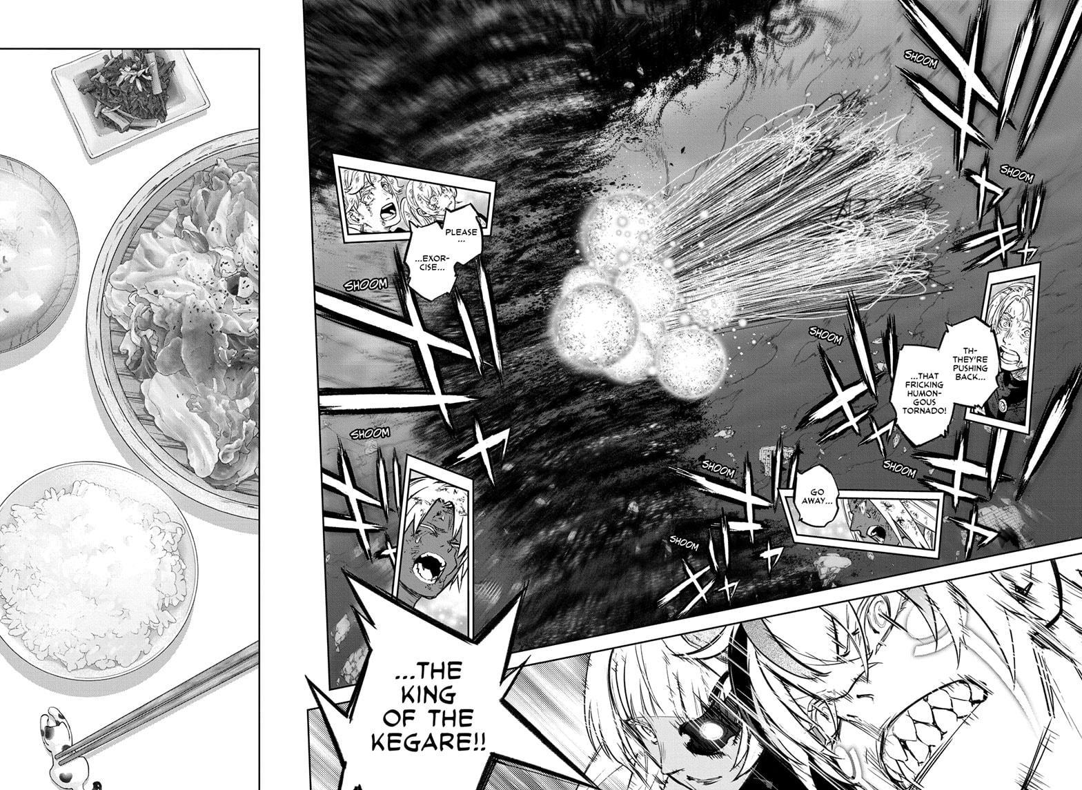 Read Twin Star Exorcists Manga Online