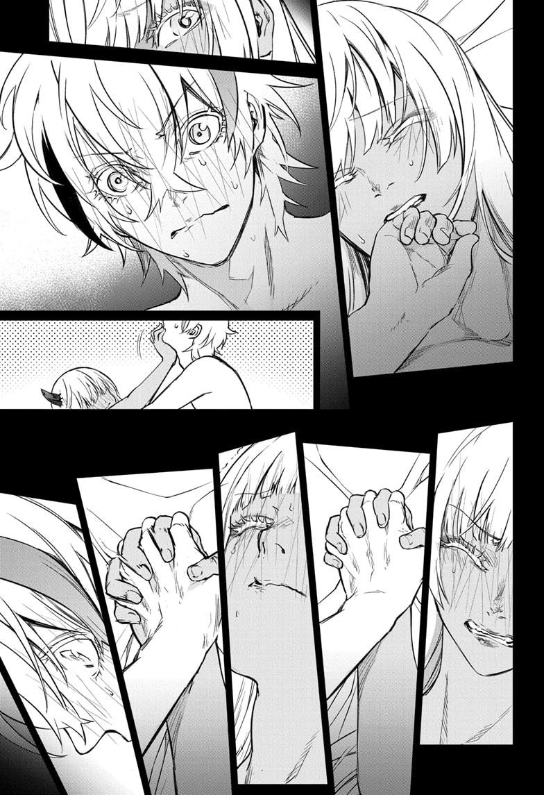 Read Twin Star Exorcists Manga Online