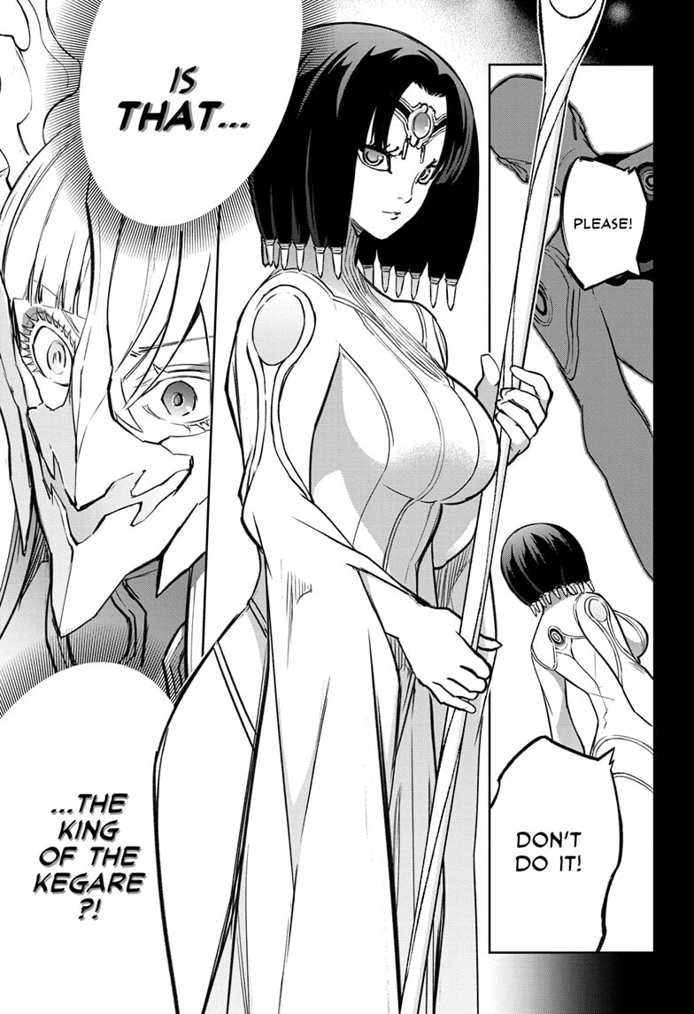 Read Twin Star Exorcists Manga Online