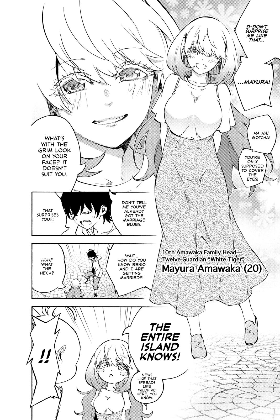 Read Twin Star Exorcists Manga Online