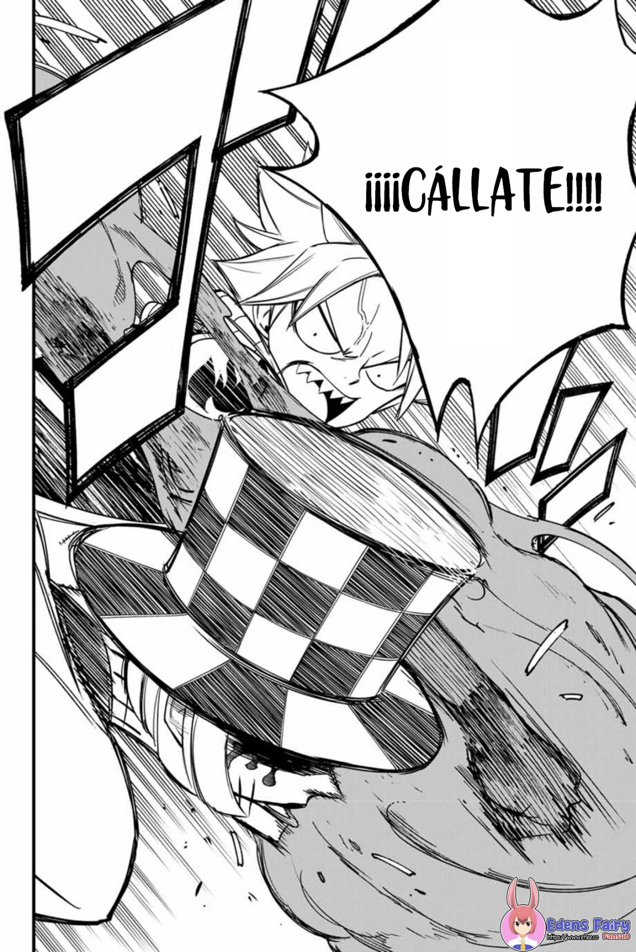 Read Fairy Tail La misión de los 100 años ES Manga Online