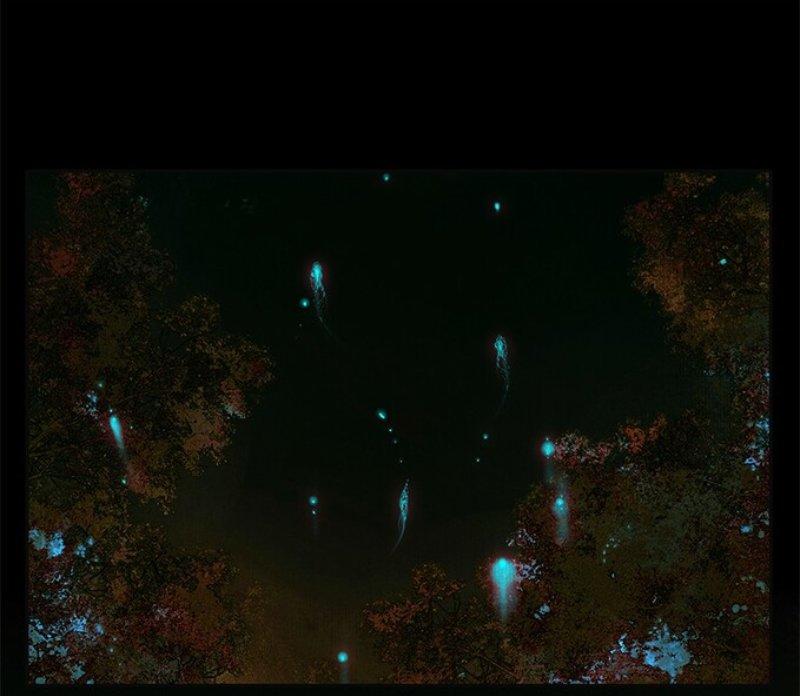 Read Heaven Official's Blessing ES Manga Online