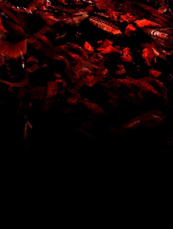 Read Heaven Official's Blessing ES Manga Online