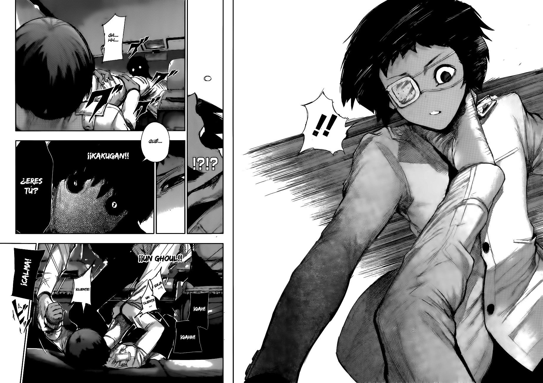 Read Tokyo Ghoul Re ES Manga Online