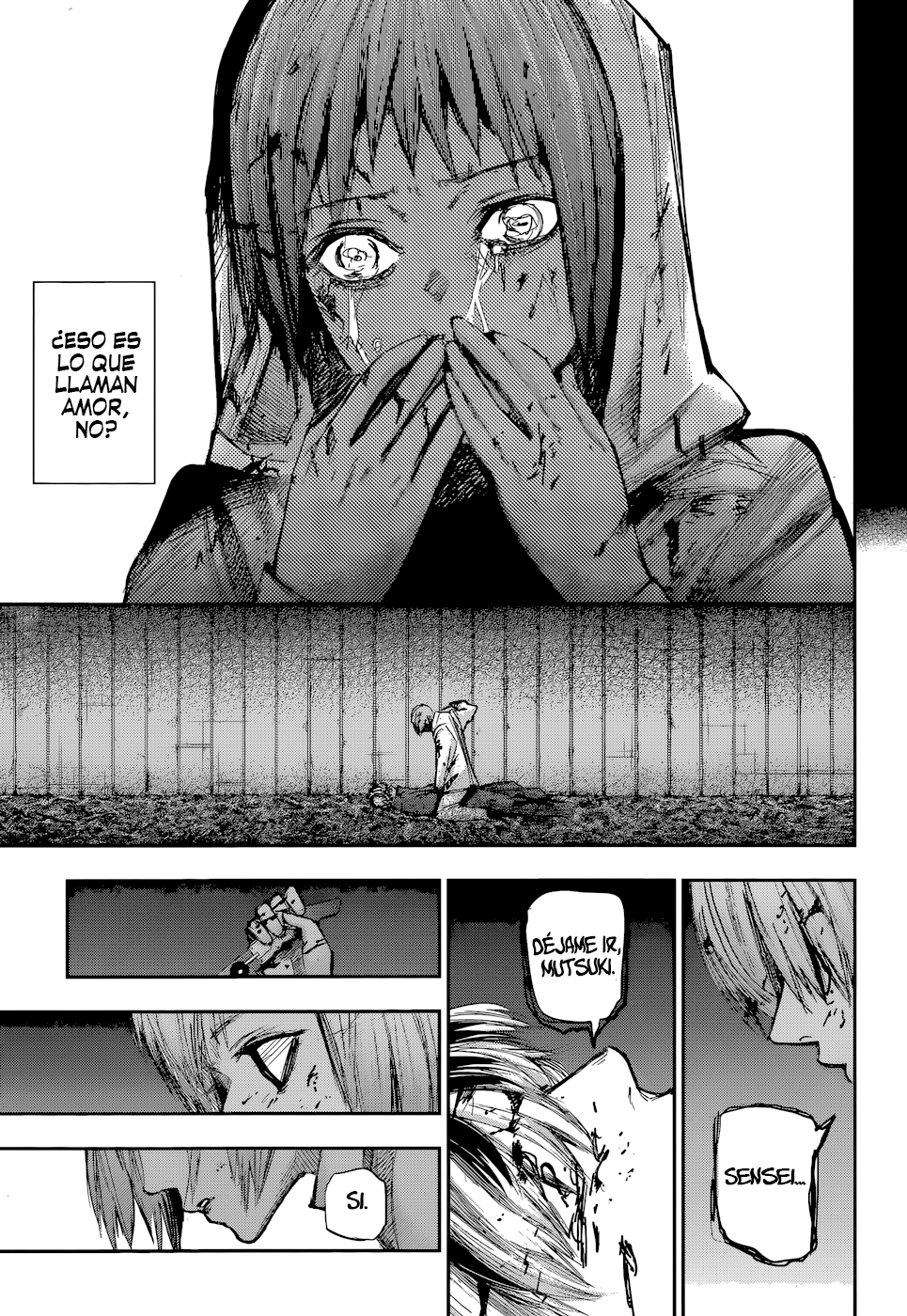 Read Tokyo Ghoul Re ES Manga Online