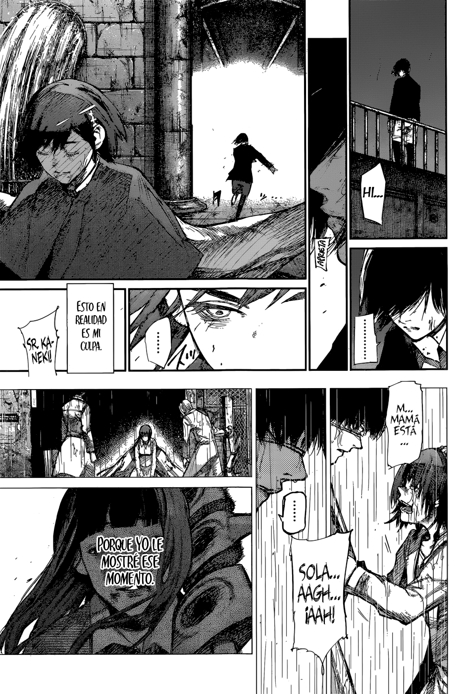 Read Tokyo Ghoul Re ES Manga Online