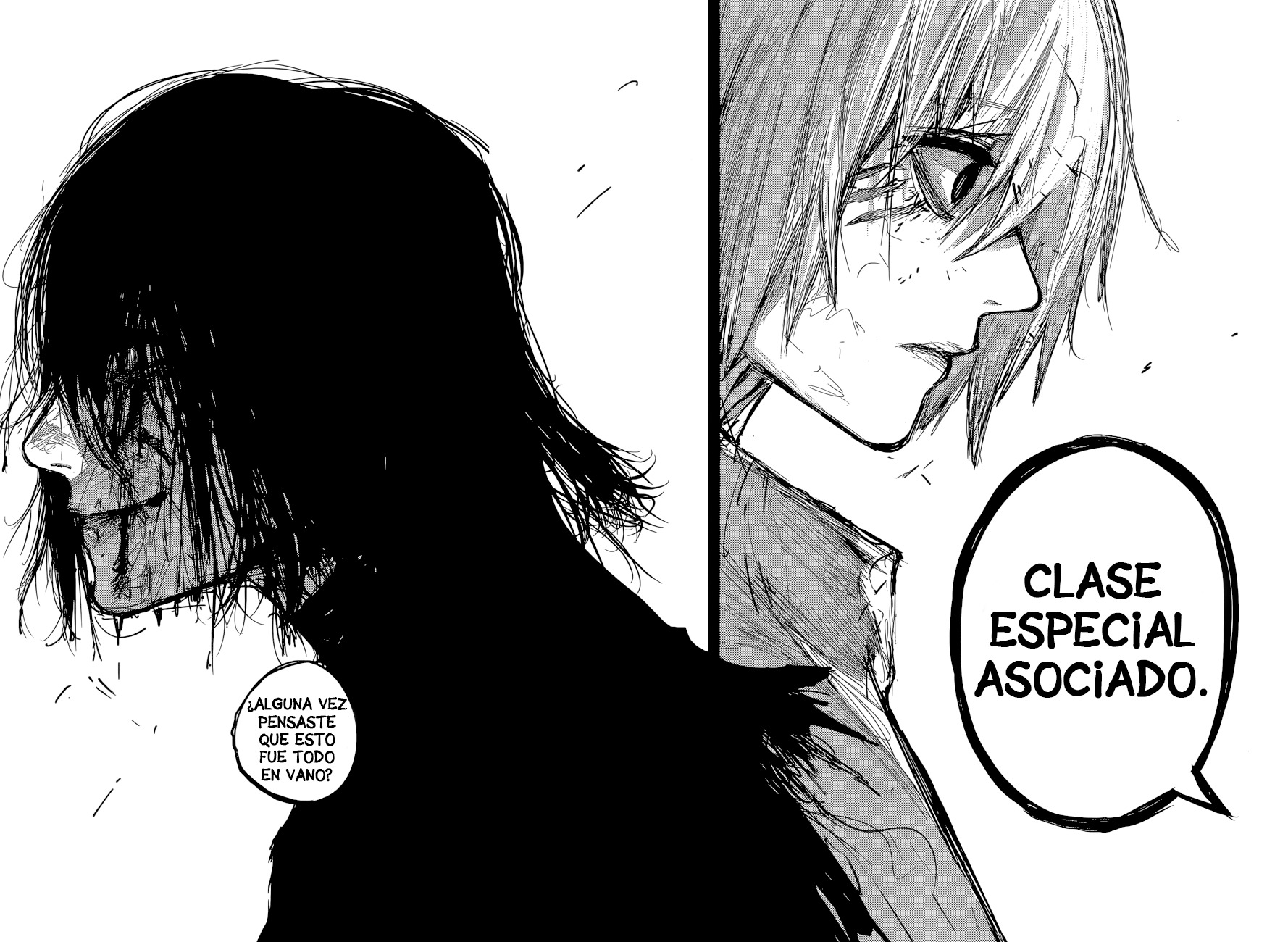 Read Tokyo Ghoul Re ES Manga Online