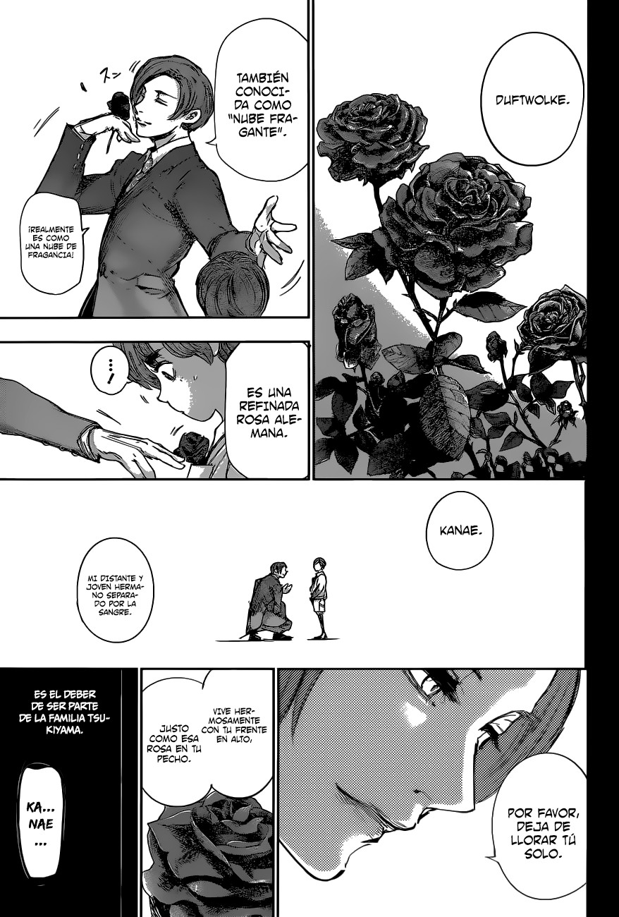 Read Tokyo Ghoul Re ES Manga Online