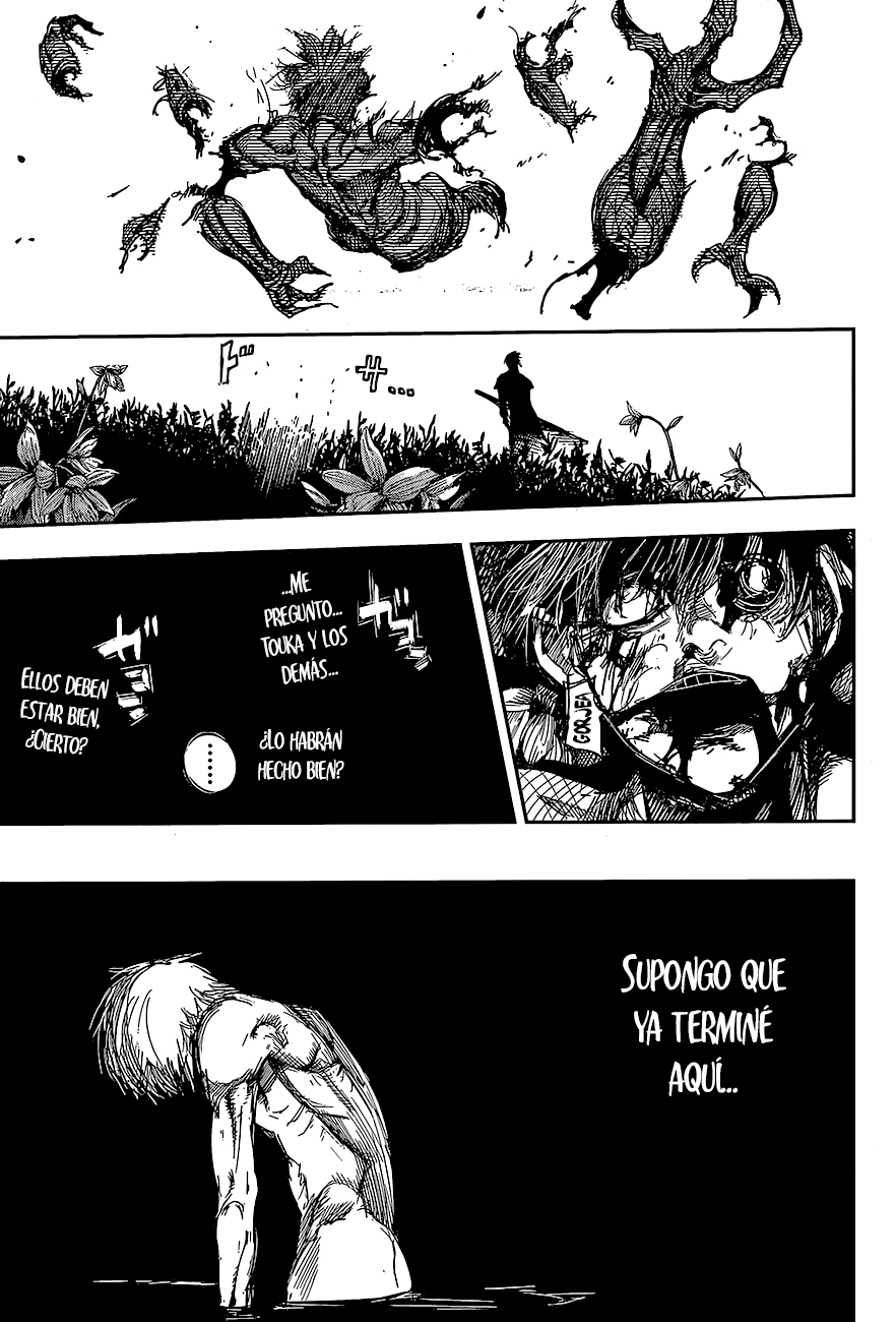 Read Tokyo Ghoul Re ES Manga Online