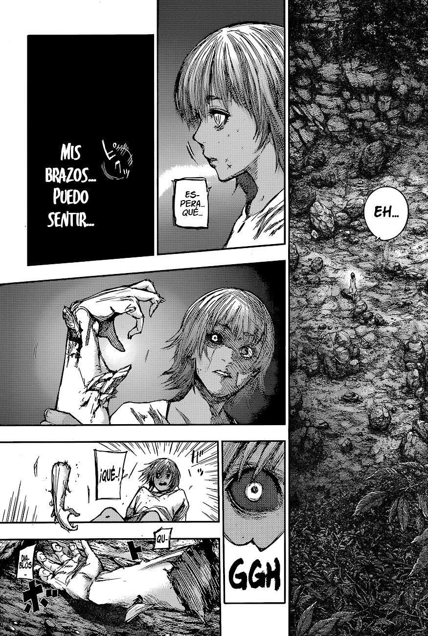 Read Tokyo Ghoul Re ES Manga Online