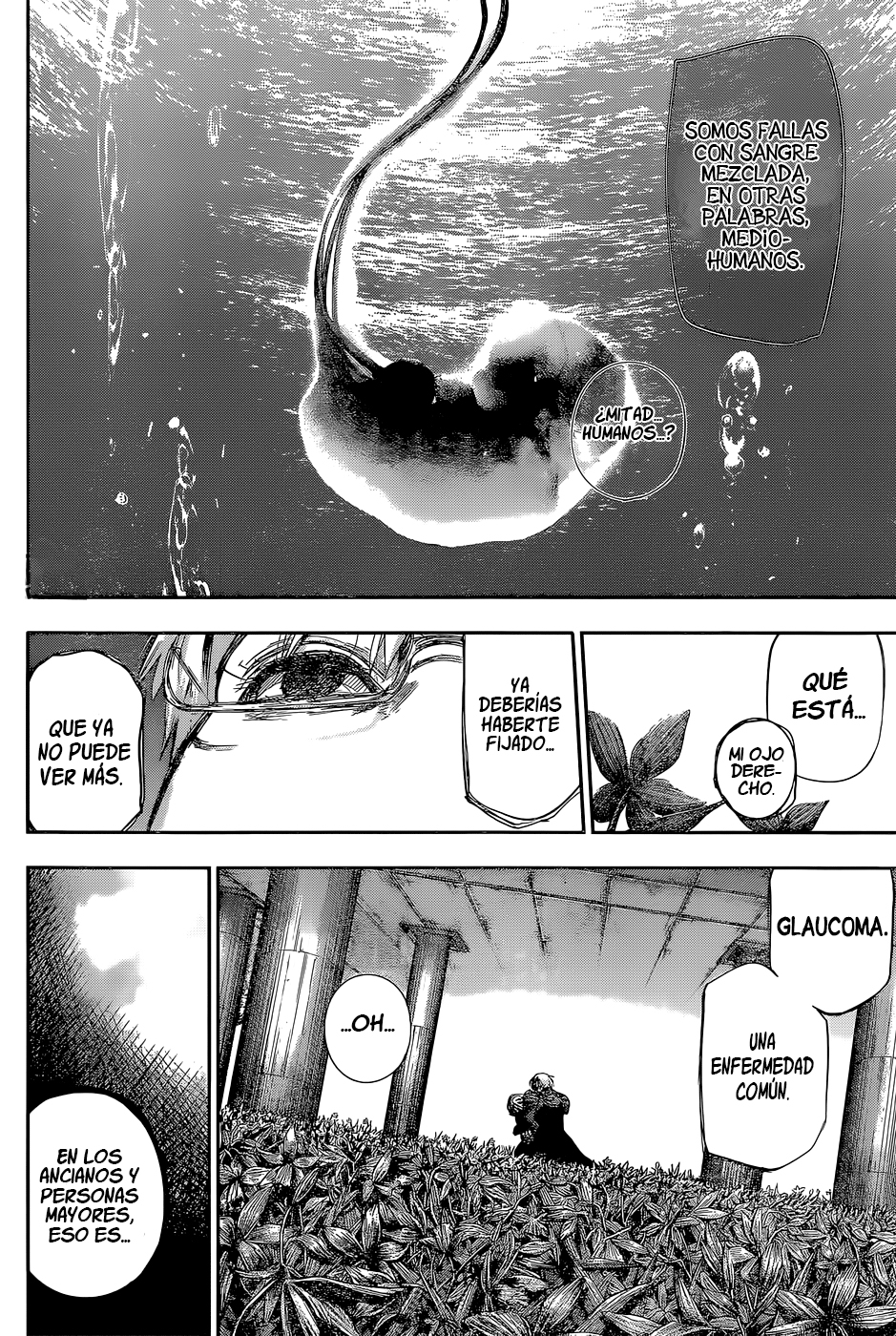 Read Tokyo Ghoul Re ES Manga Online