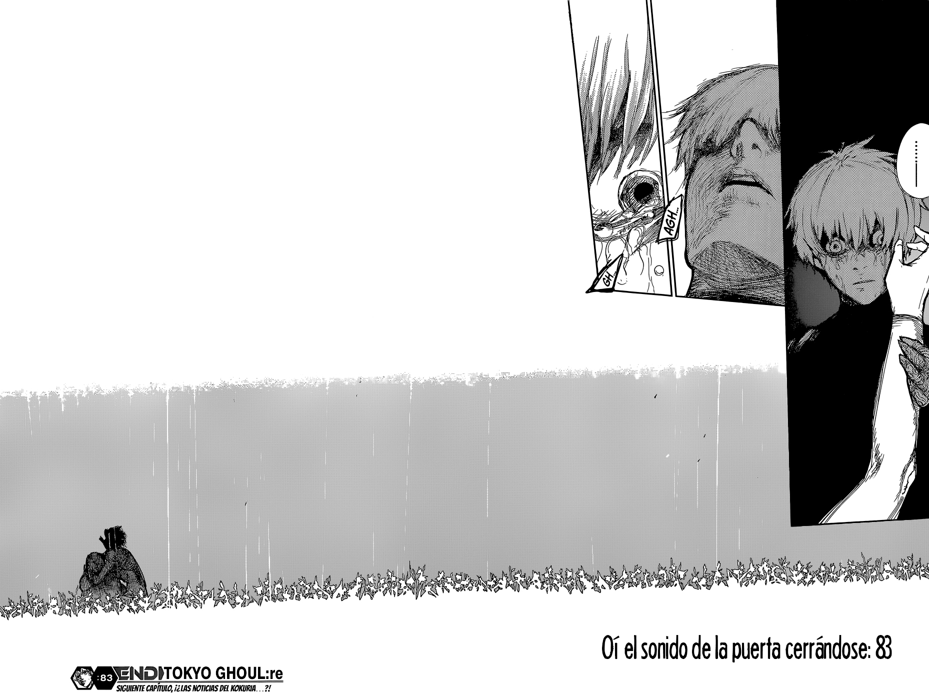 Read Tokyo Ghoul Re ES Manga Online