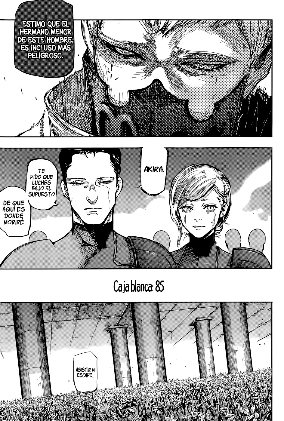 Read Tokyo Ghoul Re ES Manga Online