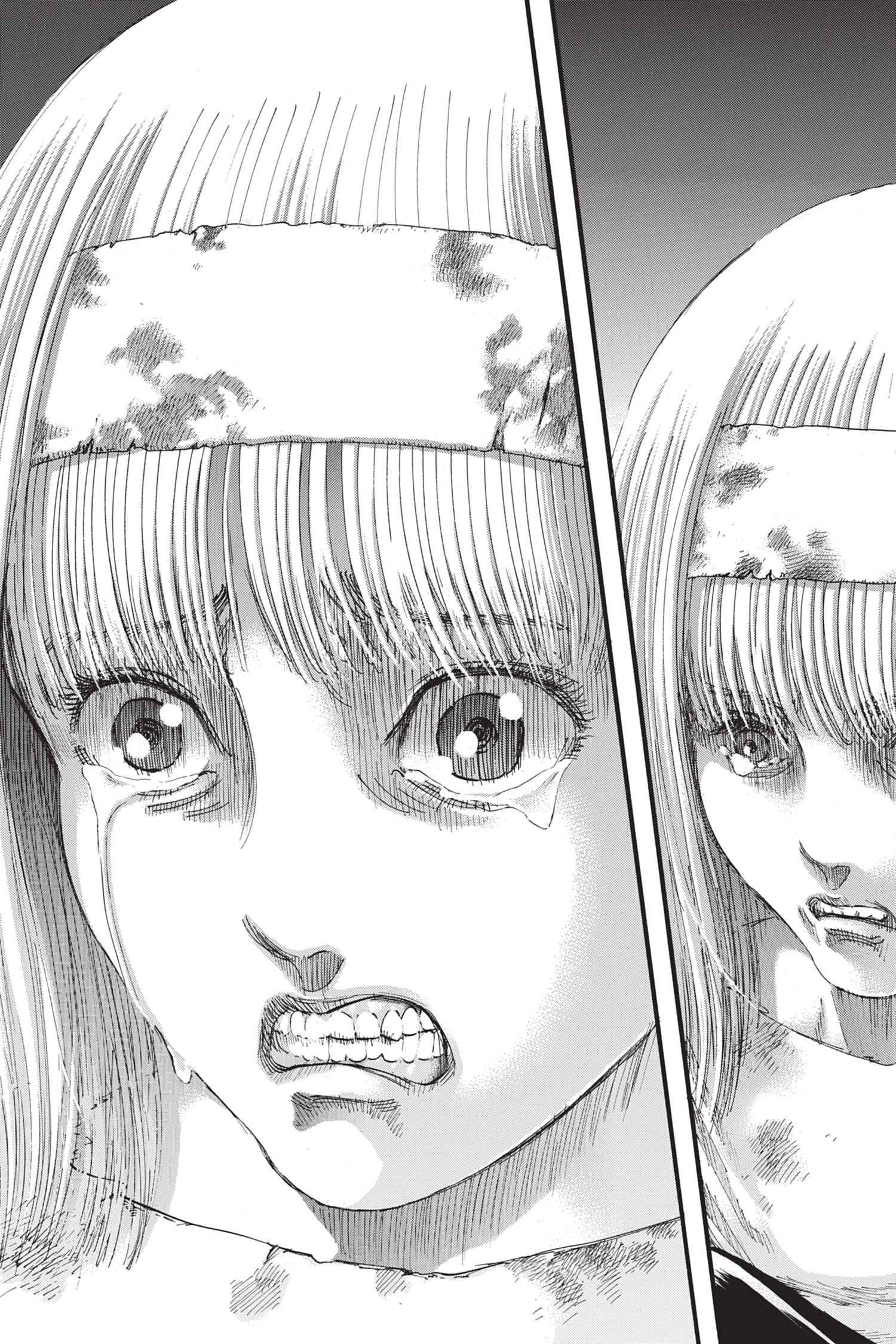 Read Attaque des titans FR Manga Online