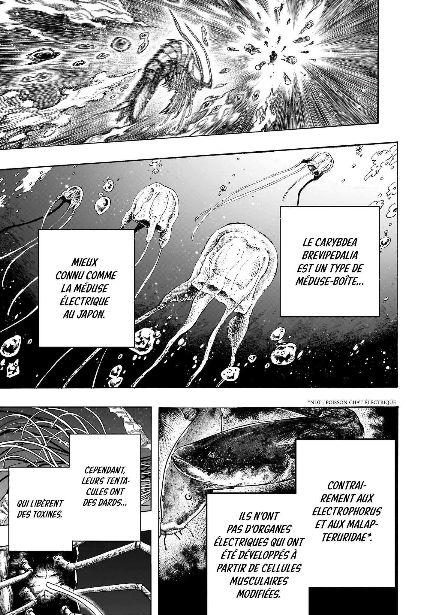 Read Dear Anemone FR Manga Online