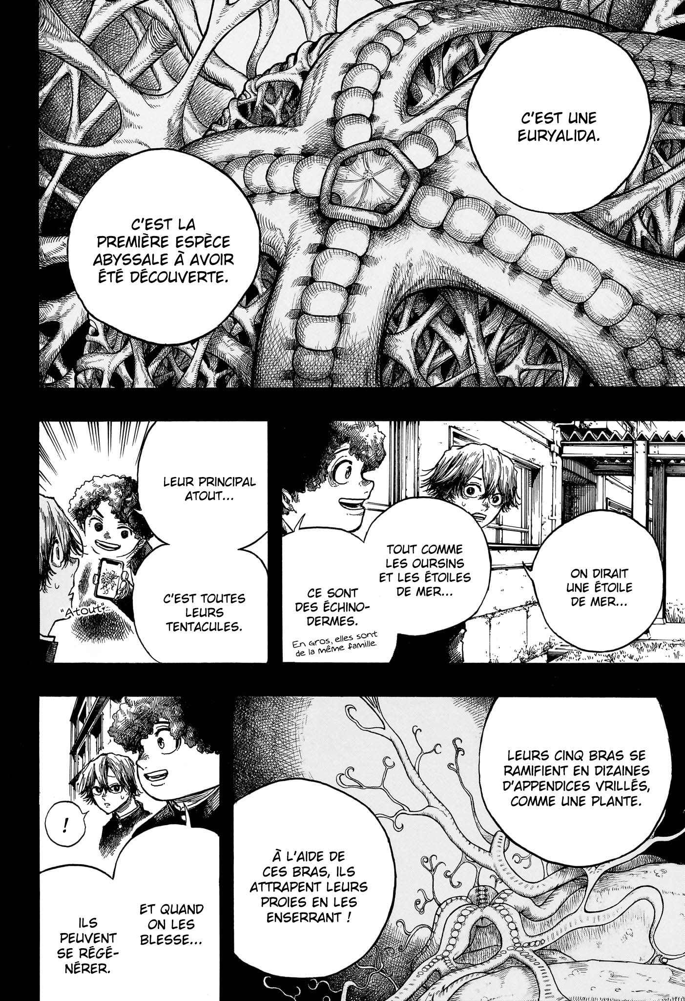 Read Dear Anemone FR Manga Online