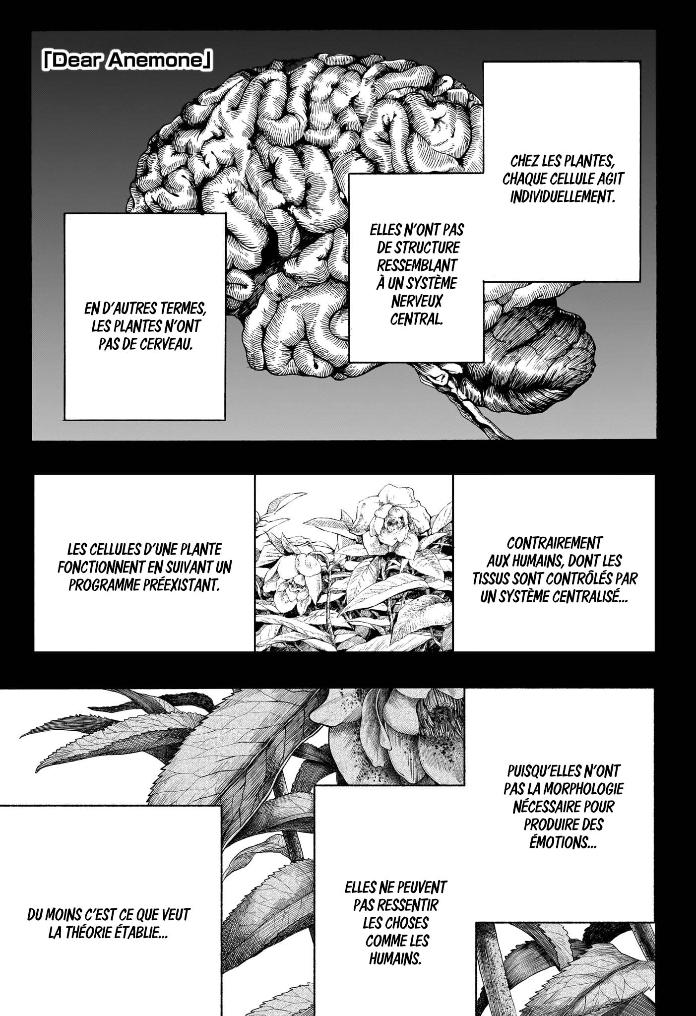 Read Dear Anemone FR Manga Online