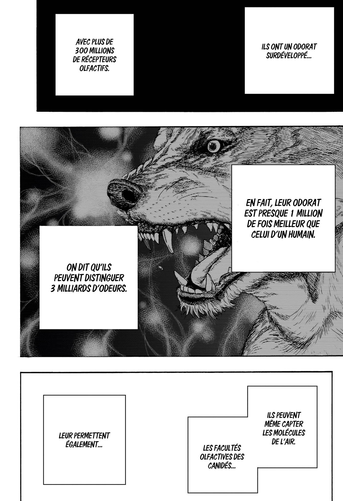 Read Dear Anemone FR Manga Online