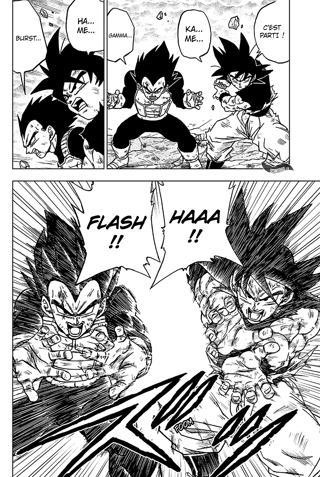 Read Dragon Ball Super FR Manga Online