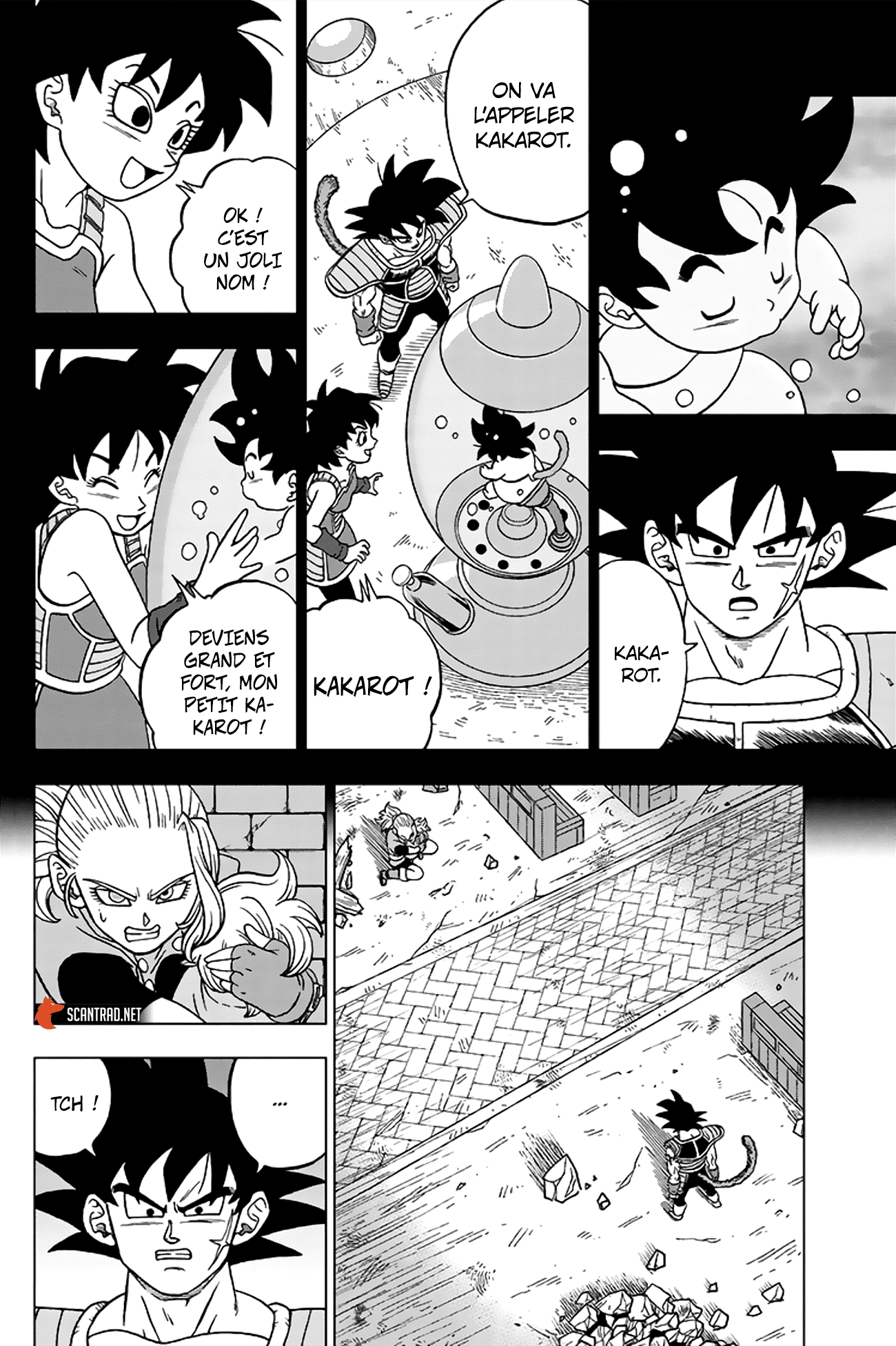 Read Dragon Ball Super FR Manga Online