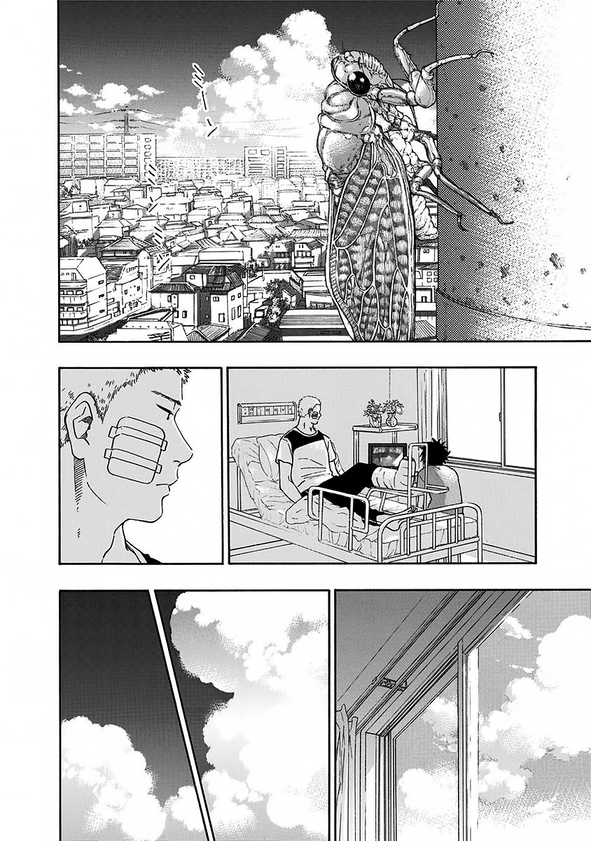 Read Ao no Flag IT Manga Online
