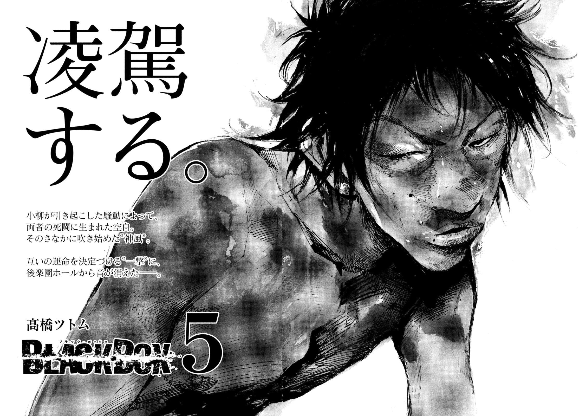 Read Black Box IT Manga Online