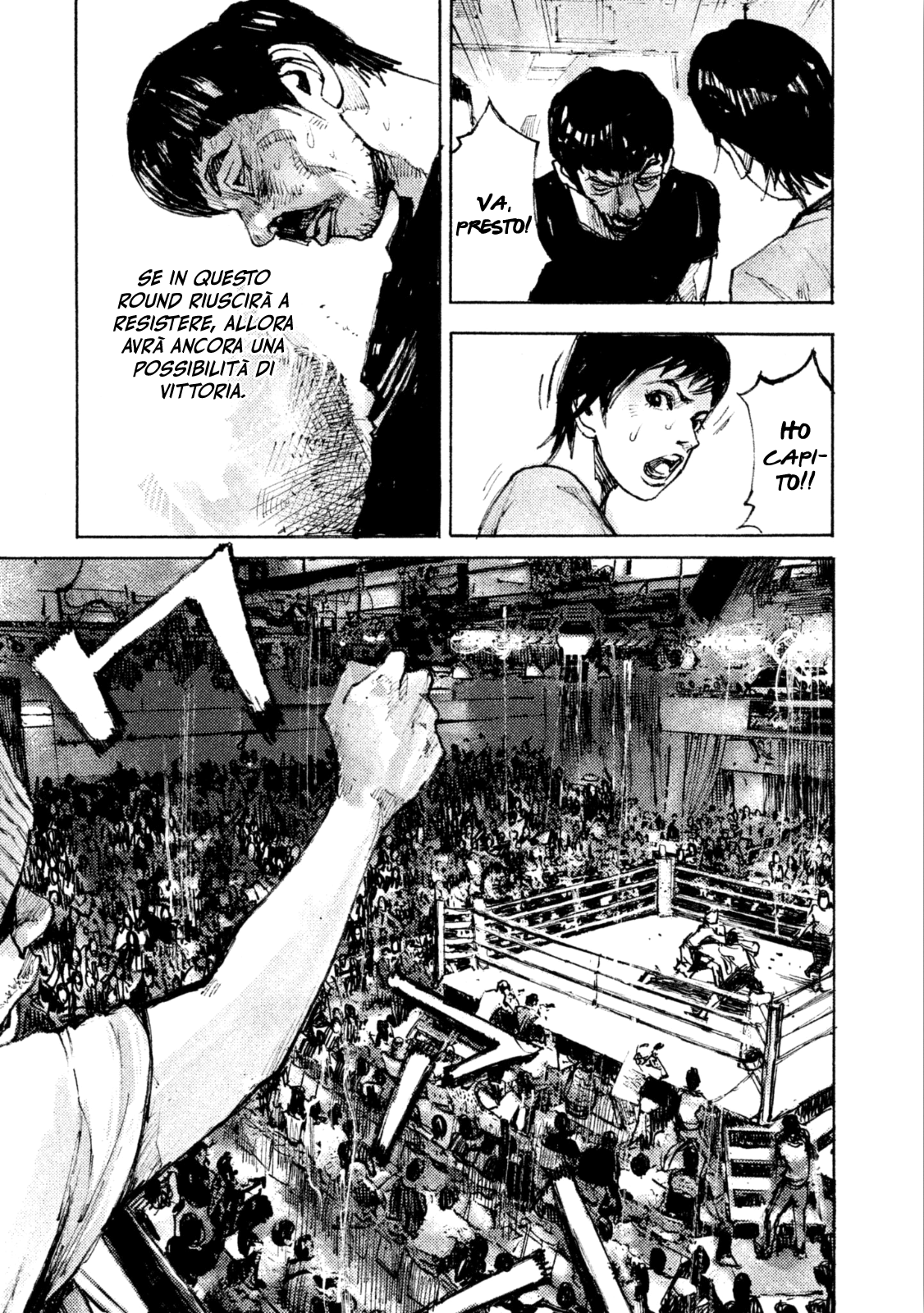 Read Black Box IT Manga Online