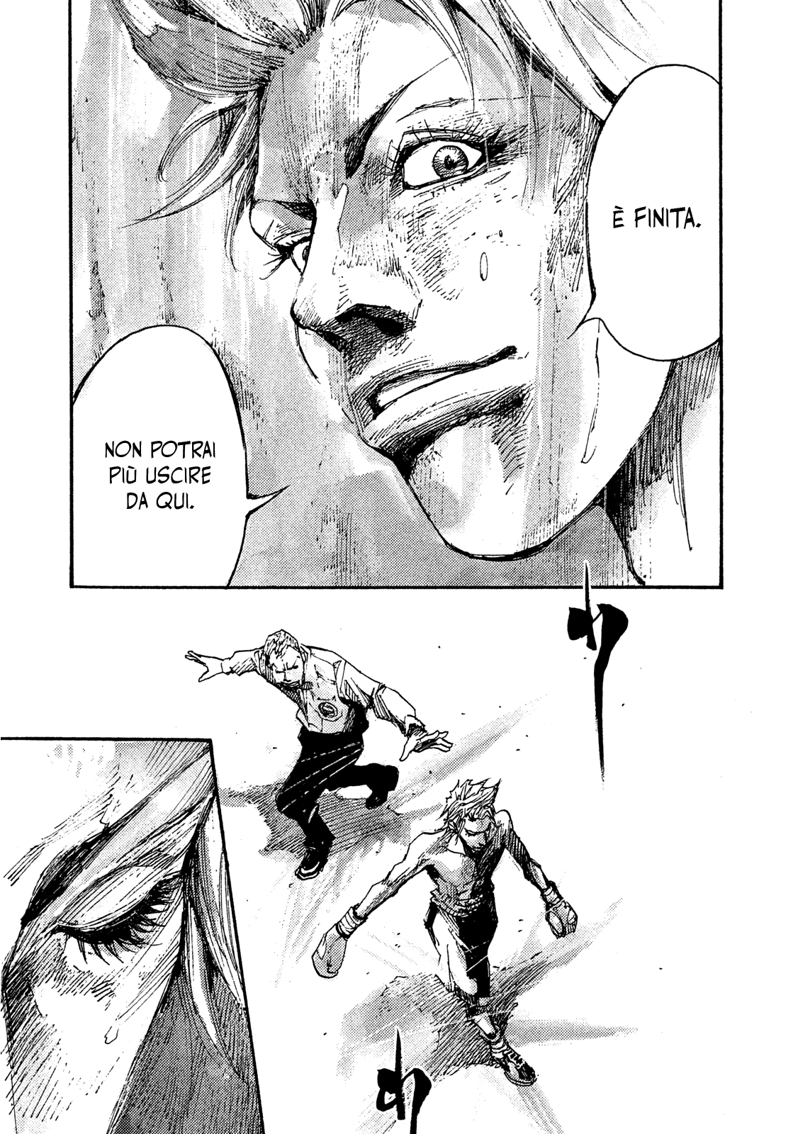 Read Black Box IT Manga Online