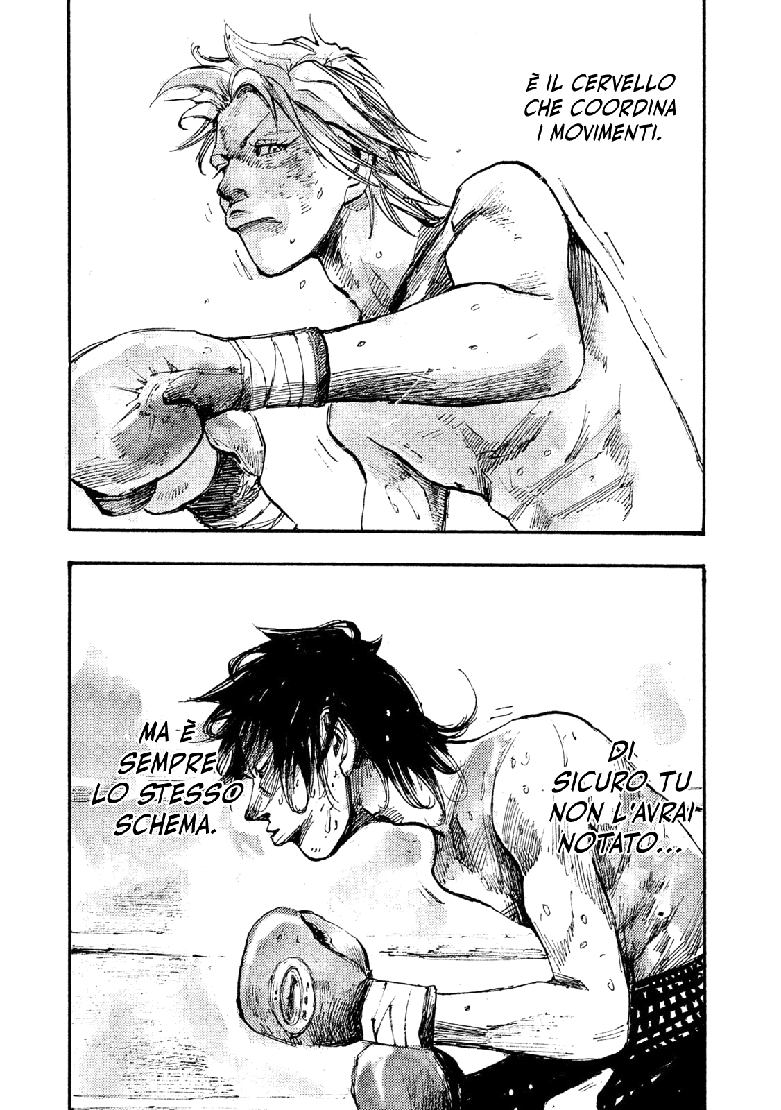 Read Black Box IT Manga Online