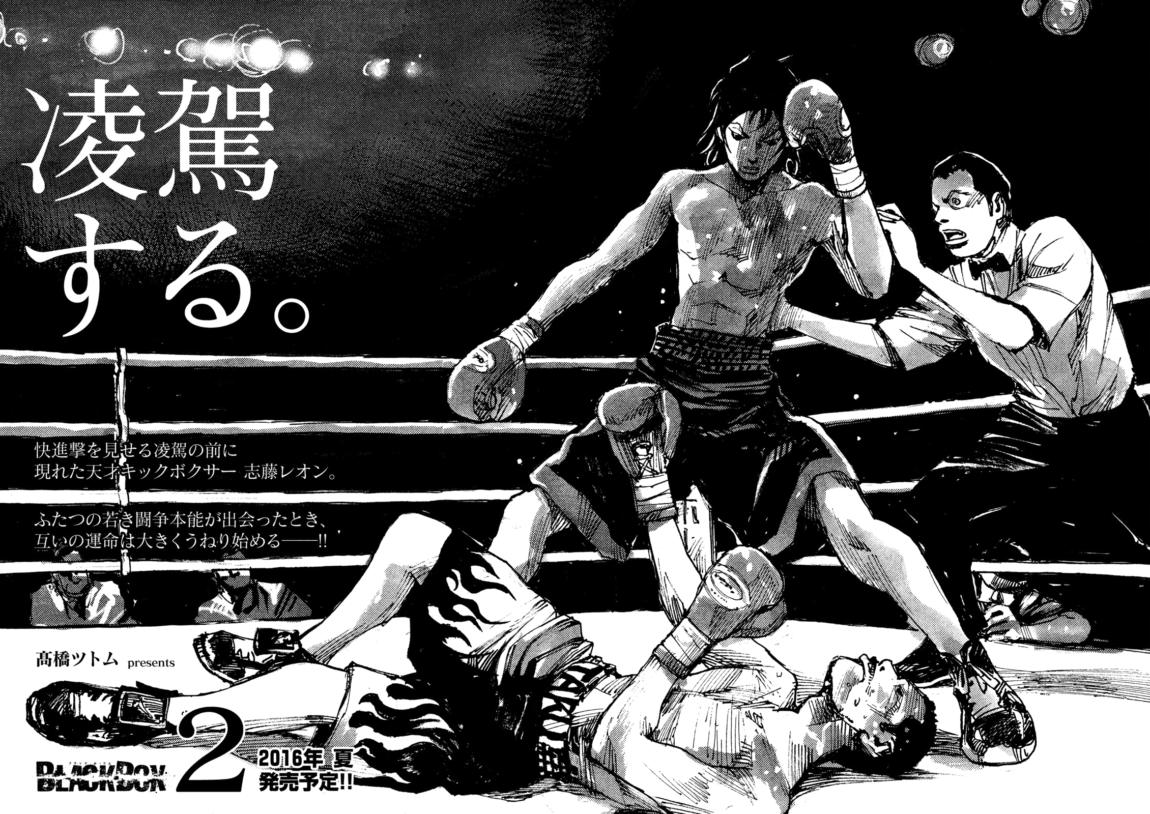 Read Black Box IT Manga Online