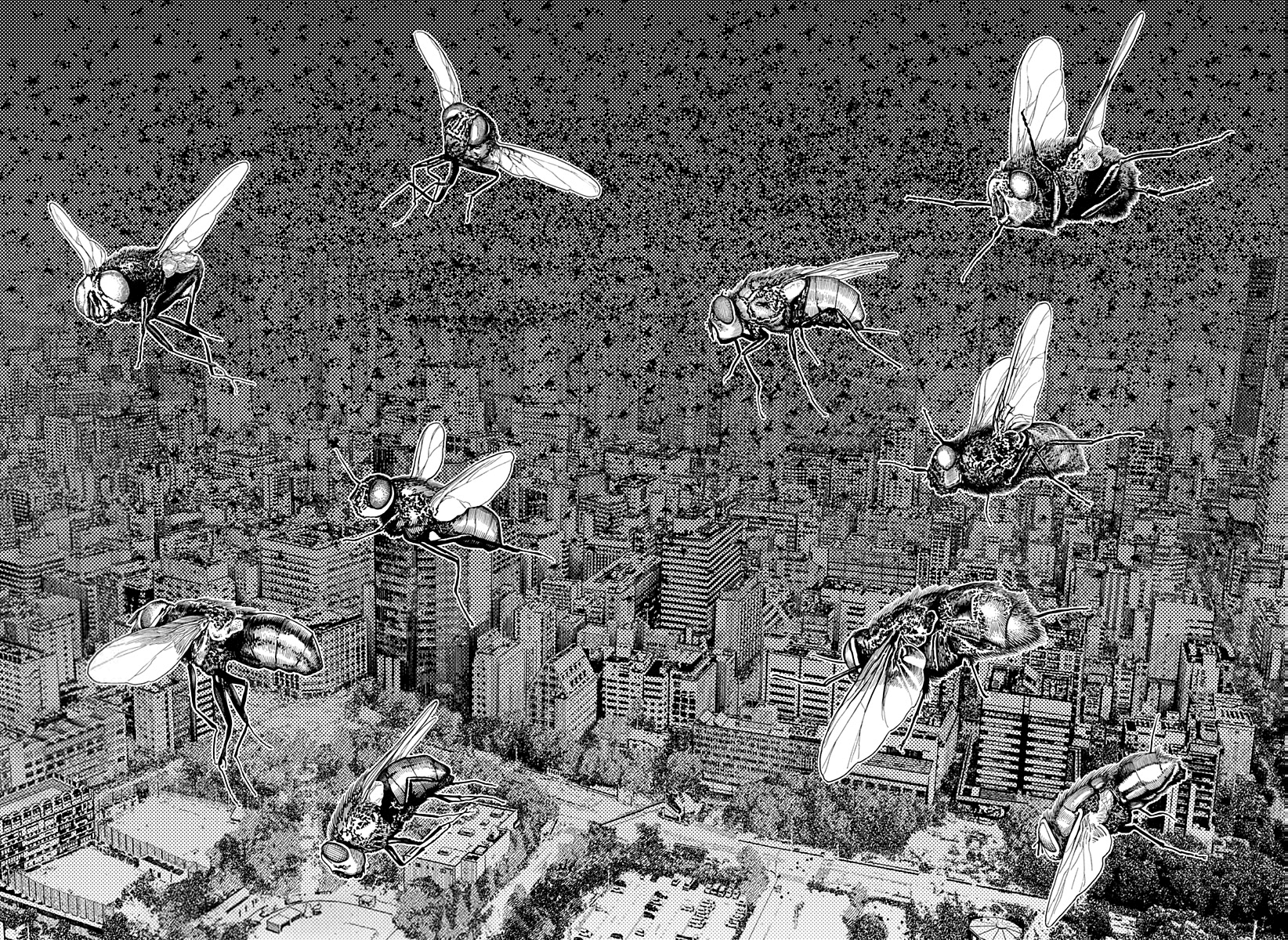 Read Dan Da Dan IT Manga Online