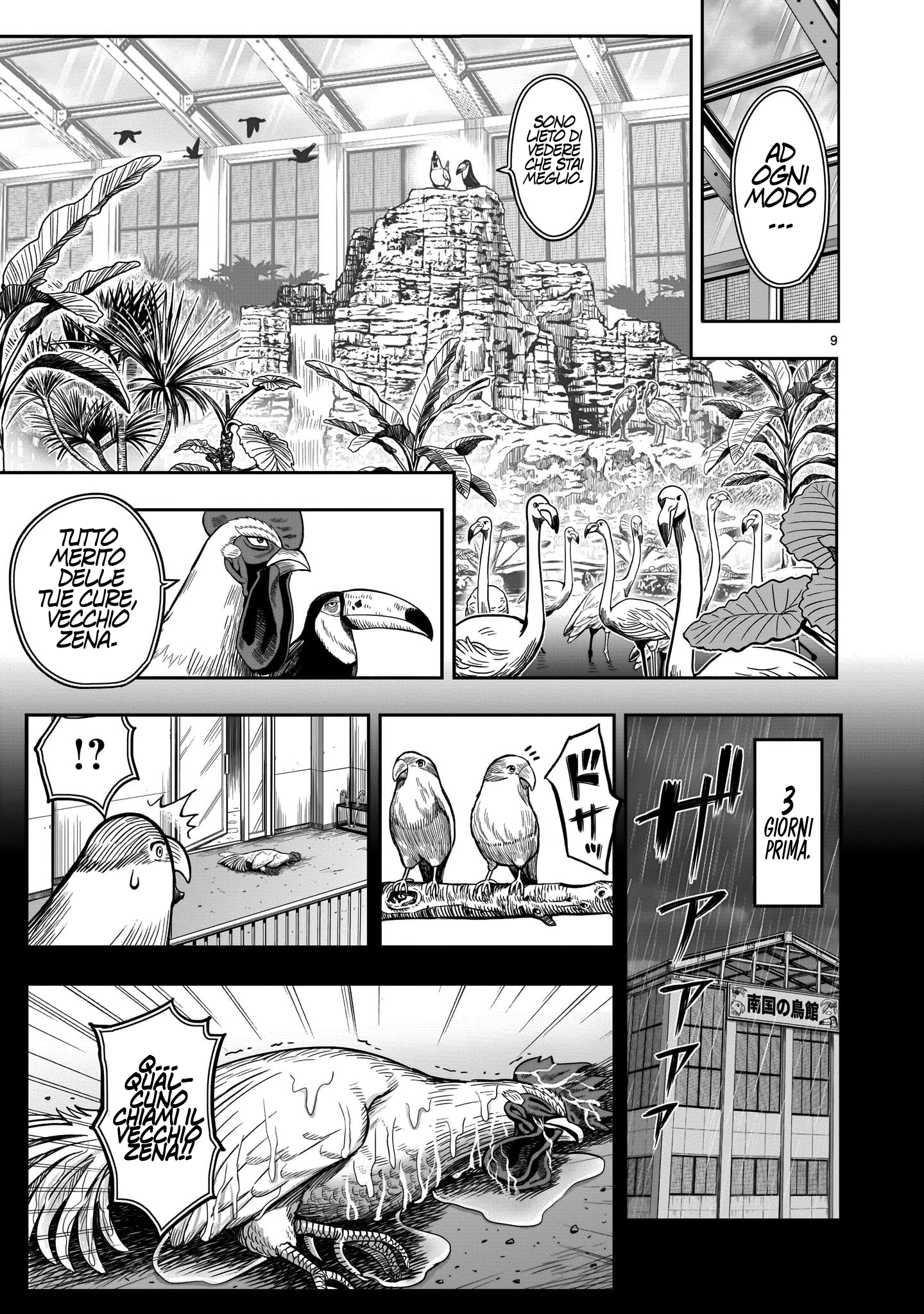 Read Niwatori Fighter IT Manga Online