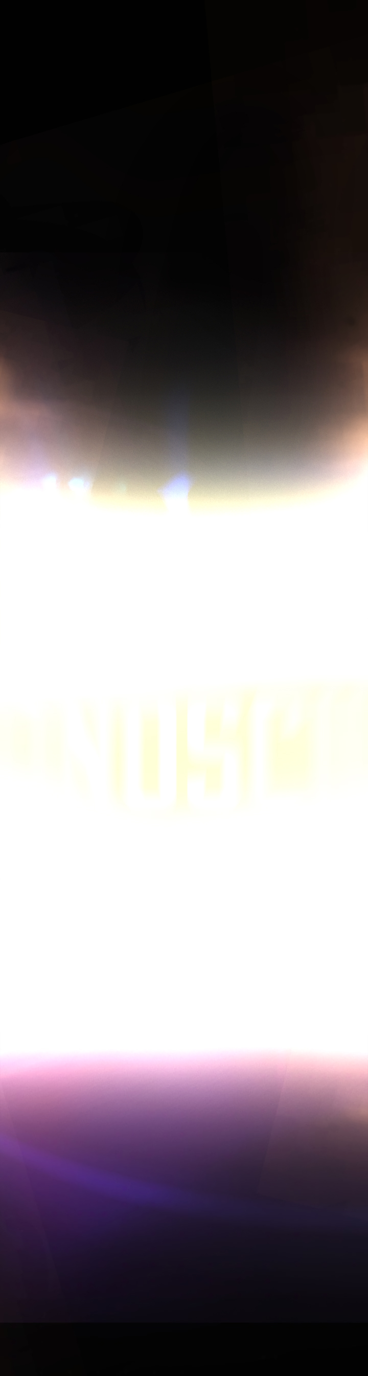 Read Solo Leveling IT Manga Online